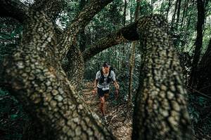 BIB: 
                            <button type="button" onclick="openModal(25392126)" class="btn btn-primary btn-sm float-right btn-popup" data-toggle="modal" data-target=".modal-high-quality">
                        <i class="fas fa-shopping-cart"></i> Add to Cart
                    </button>
                                            <button type="button" onclick="isThisMe(25392126, true)" class="btn btn-success btn-sm float-right btn-popup btn-isme hidden" data-toggle="tooltip" data-placement="bottom" title="นี่คือรูปของคุณใช่ไหม คลิกที่นี่เพื่อเอาเข้าอัลบั้ม">
                        <i class="fas fa-plus"></i> Add to album
                    </button>
                    <button type="button" onclick="isThisMe(25392126, false)" class="btn btn-warning btn-sm float-right btn-popup btn-isnotme hidden">
                        <i class="fas fa-ban"></i> Remove from album
                    </button>